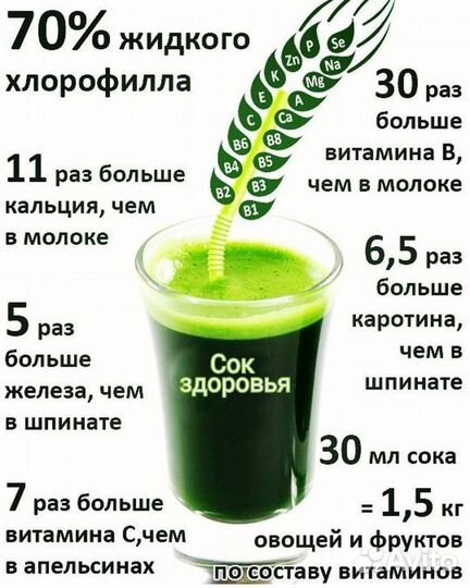 Витграсс. Сок из ростков пшеницы