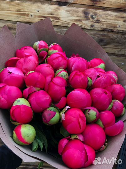 Пионы с доставкой