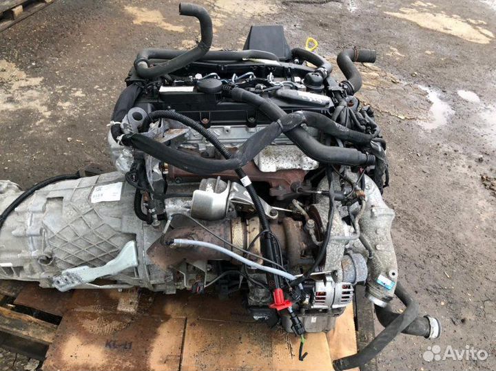 Двигатель Mercedes Sprinter W906 OM651.955 2015