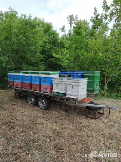 Прицеп для пчел, уликов