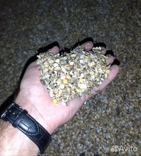 Зерноотходы, отруби, мука в/с, 1/с, 2/с, ржанка