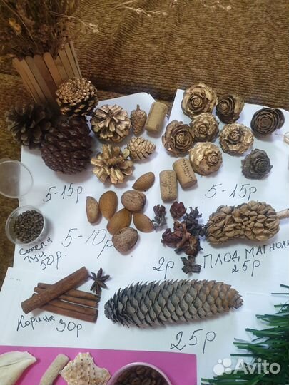 Сухоцветы, шишки заготовки из можжевельника