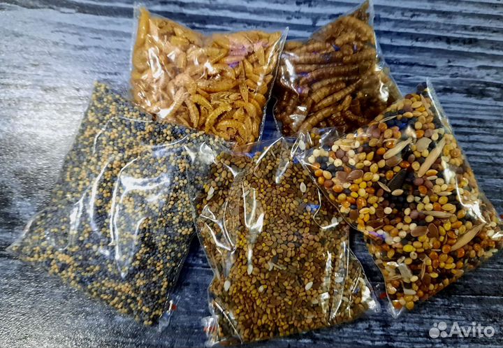 Корм для муравьев 5 видов