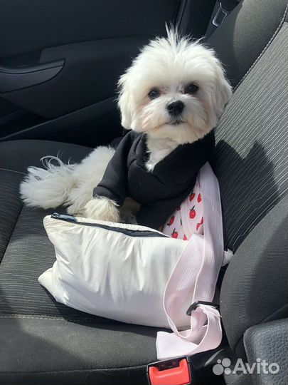 Мальтезе кабель вязка