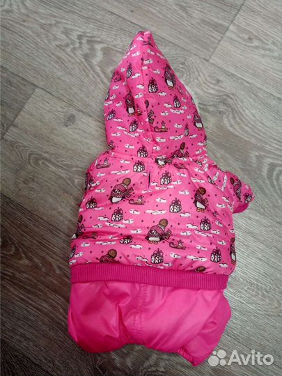 Одежда для маленьких собак