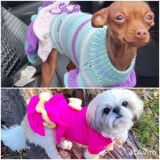 Одежда для собаки