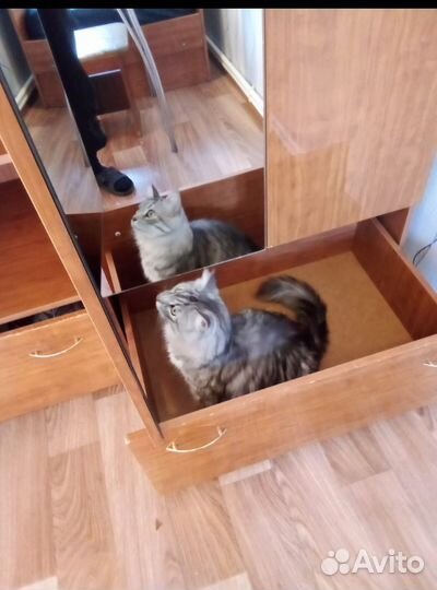 Шкаф для одежды бу
