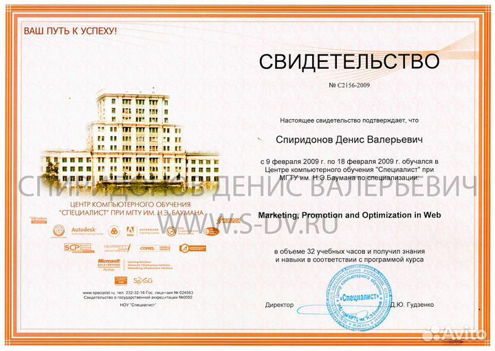 Директор ит (CIO)