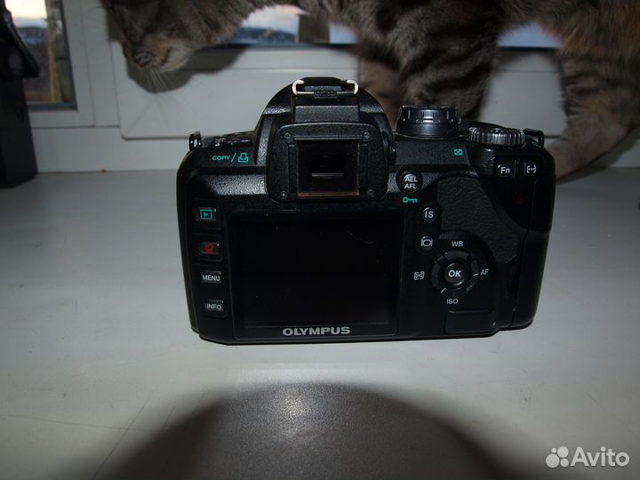 Зеркальный фотоаппарат olympus E-510