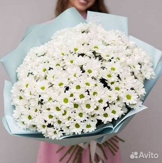 Хризантема Доставка цветов