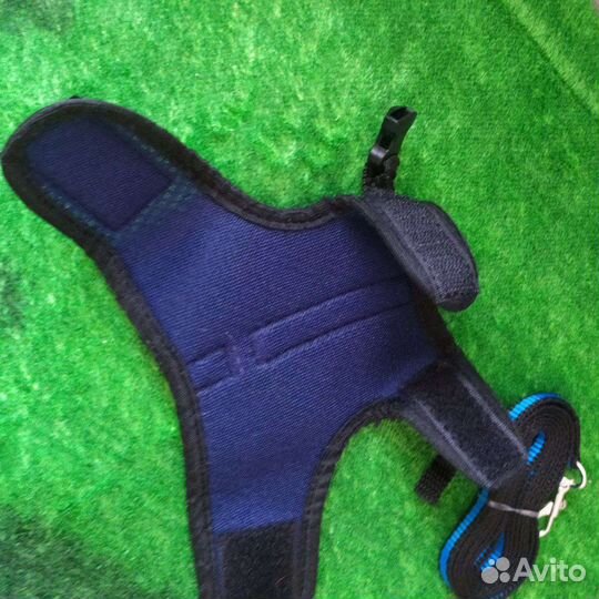 Поводок для крыски