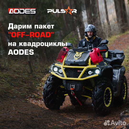 Топ для грязи - Квадроцикл Aodes MAX 1000 MUD PRO