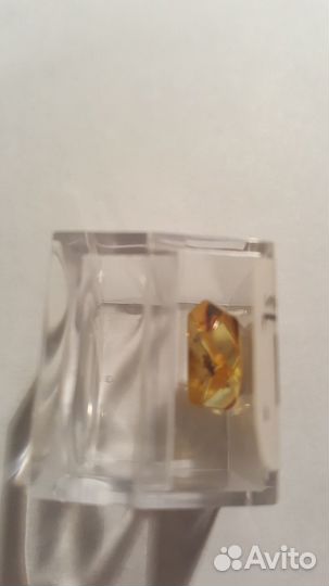 Янтарь с инклюзами