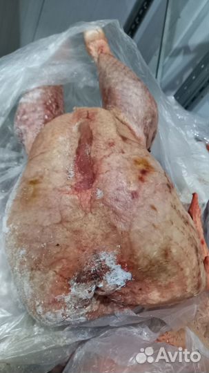 Мясо индейки, тушки замороженные