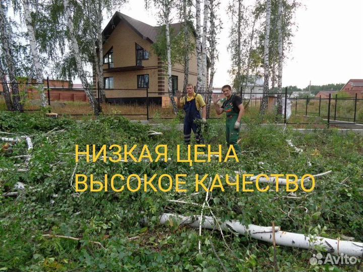 Вывоз мусора эконом