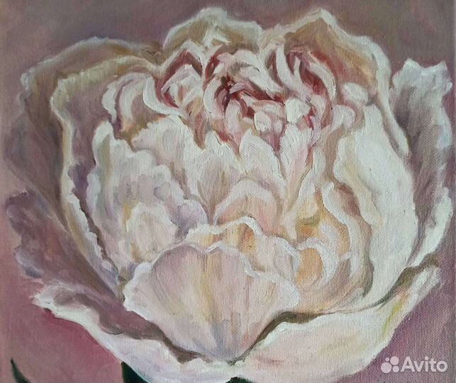 Пион. Картина маслом на холсте
