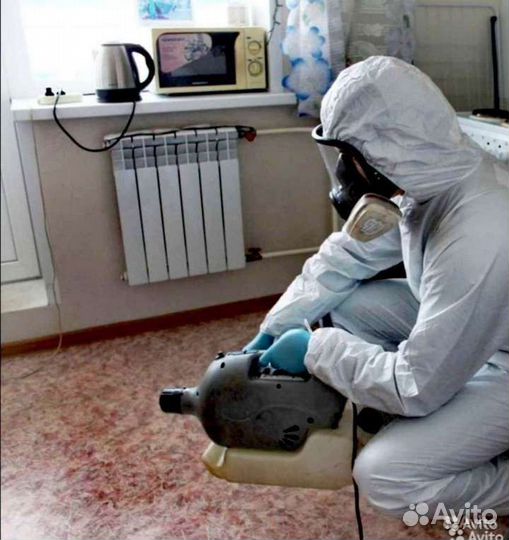 Уничтожение клопов тараканов мышей блох муравьев