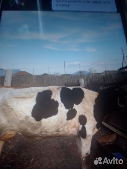 Телефон Huawei