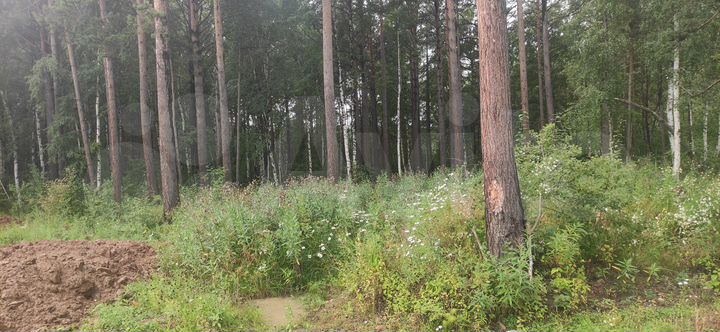 Участок 14 сот. (ИЖС)