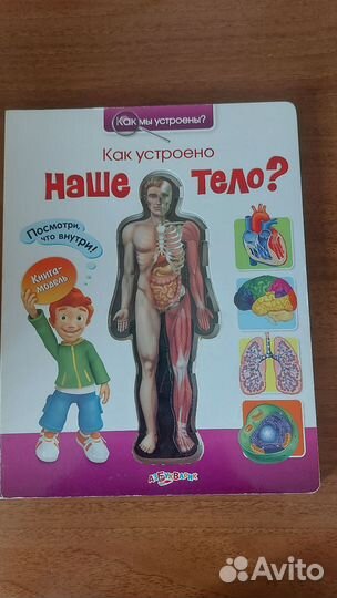 Детская энциклопедия