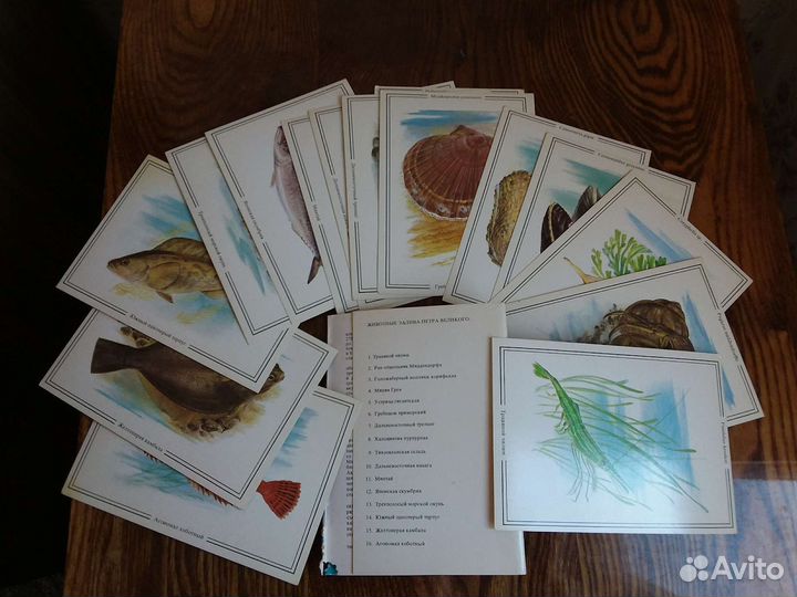 Открытки СССР