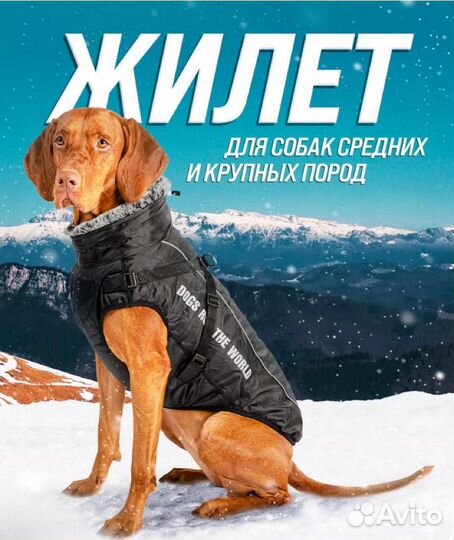 Теплый жилет для собаки