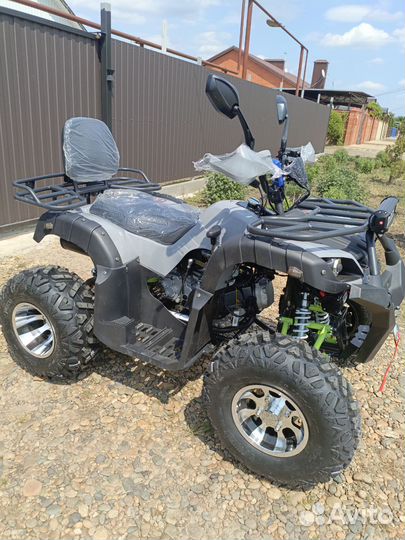 Hammer 200