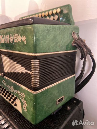 Гармонь вятская 2