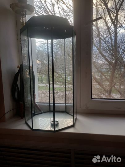 Аквариум рыбки