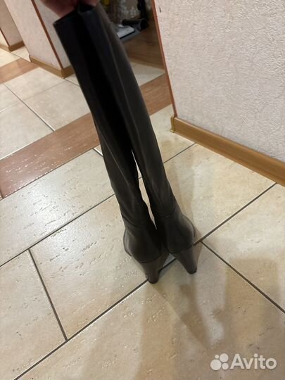 Carlo pazolini сапоги