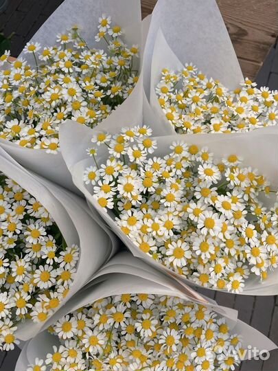 Букеты из ромашек, ромашки, цветы с доставкой