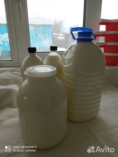 Деревенское молоко с доставкой
