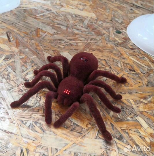 Паук на радиоуправлении