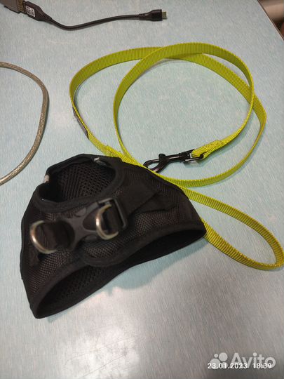 Шлейка с поводком