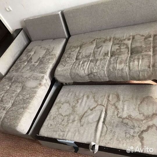 Химчистка Аренда моющего пылесоса