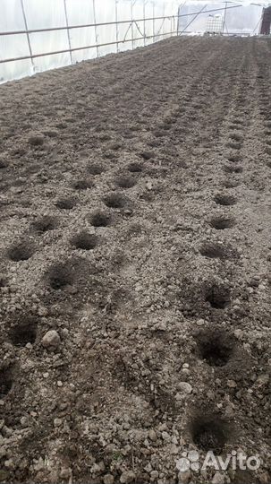 Бурение лунок в теплицах