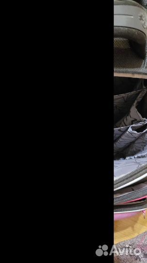 Портфель школьный для девочки Hummingbird