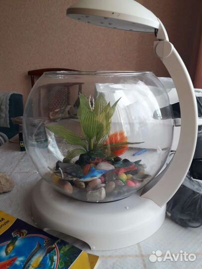 Аквариум круглый 6.8 л. с фильтром и компрессором