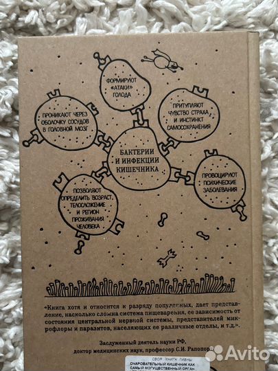 Очаровательный кишечник джулия эндерс