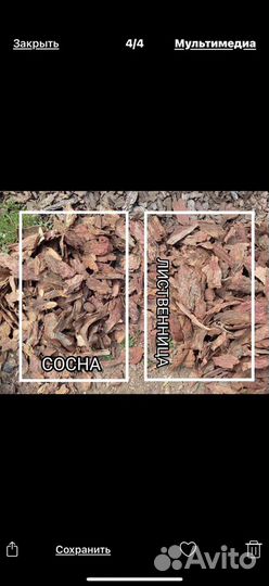 Кора лиственницв