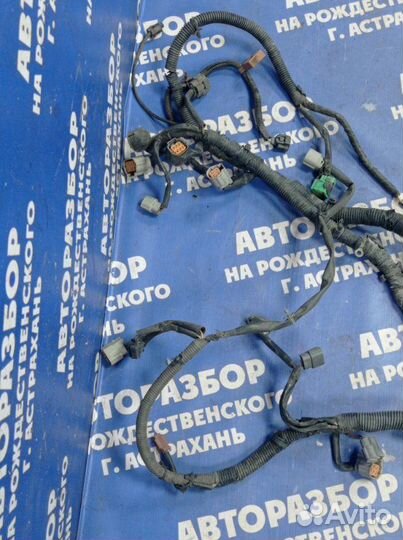 Проводка подкапотная Nissan Teana J32 седан VQ25DE