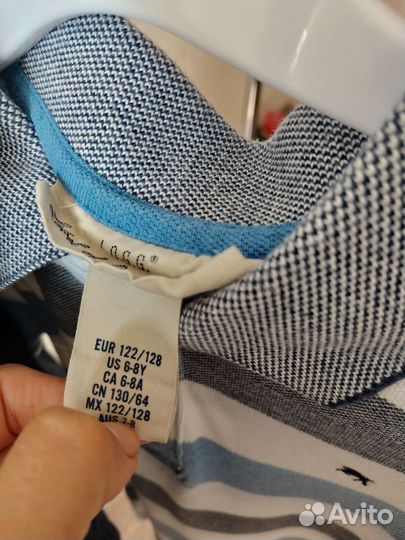 Пиджак и polo на мальчика Комплект