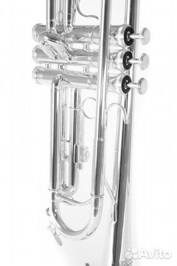 Труба Roy Benson TR-202S