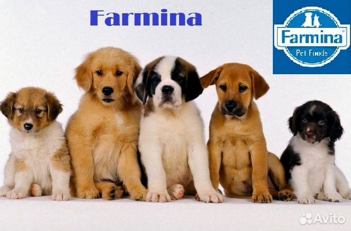 Корм Фармина для щенков, беременных, кормящих сук
