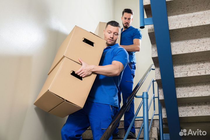 Грузчики. Профессионалы