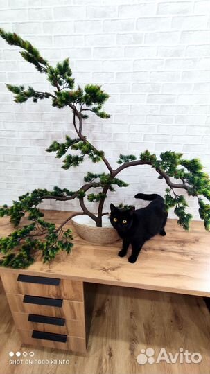 Бонсай большой, искусственное дерево цветы