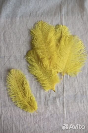 Перо страуса 10 шт