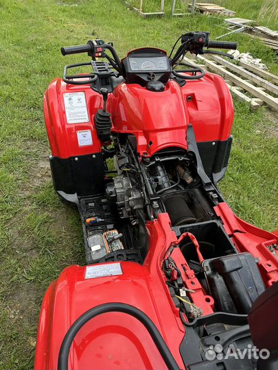 Cf Moto 500