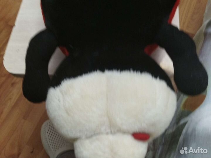 Божья коровка