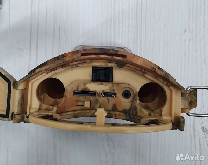 Новая фотоловушка Филин